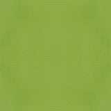 Simple Stories Papers - Say Cheese - Tomorrow At the Park - Zoom! Zoom! - 2 Sheets
