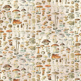Simple Stories Papers - Simple Vintage - Woodlands - Get Outdoors - 2 Sheets