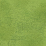 Simple Stories Papers - Simple Vintage - Woodlands - Fern - 2 Sheets