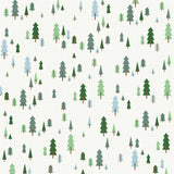 Simple Stories Papers - Simple Vintage - Flannel Season - Frosted Fun - 2 Sheets