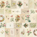 Simple Stories Papers - Simple Vintage - Junk Drawer - All the Possibilities - 2 Sheets