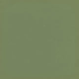 Carta Bella Papers - Dinosaurs - Green/Blue - 2 Sheets