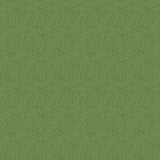Echo Park Papers - Farmer's Market - Farmer Floral - 2 Sheets