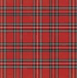 Photo Play Cut-Outs - Holly & Ivy - Noel