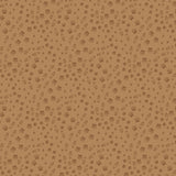 Echo Park Papers - Into the Wild - Setting Up Camp - 2 Sheets