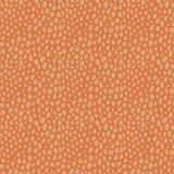 Echo Park Papers - Little Explorer - Walk On the Wild Side - 2 Sheets