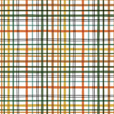 Echo Park Papers - Little Explorer - Wild About You Plaid - 2 Sheets