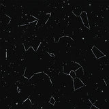 Echo Park Papers - Let's Lumberjack - Under the Stars - 2 Sheets