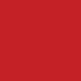 Echo Park Papers - Let's Lumberjack - Red/Grey - 2 Sheets