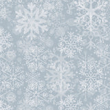 Echo Park Papers - Winterland - Snow Place Plaid - 2 Sheets