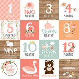 Echo Park Cut-Outs - Baby Girl - Milestone Cards