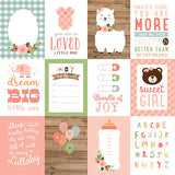 Echo Park Cut-Outs - Baby Girl - 3x4 Journaling Cards